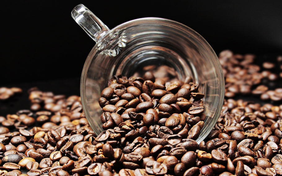 10 THINGS TO KNOW ABOUT KENYAN COFFEE