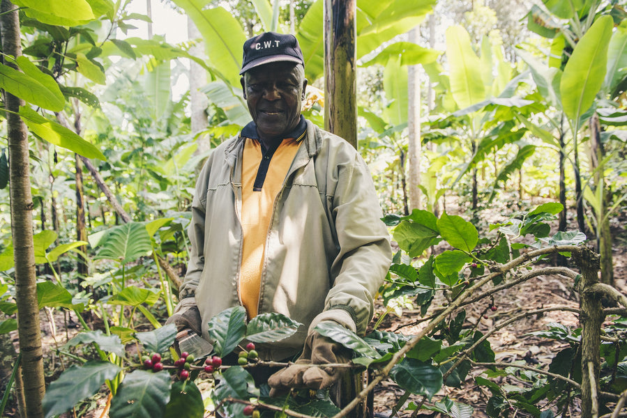 5 regions where Rwandan Coffee is cultivated